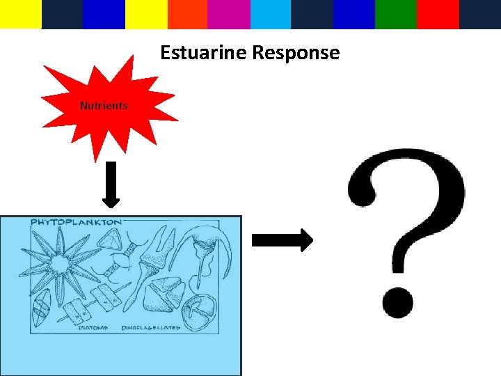 Estuarine Response Nutrients 