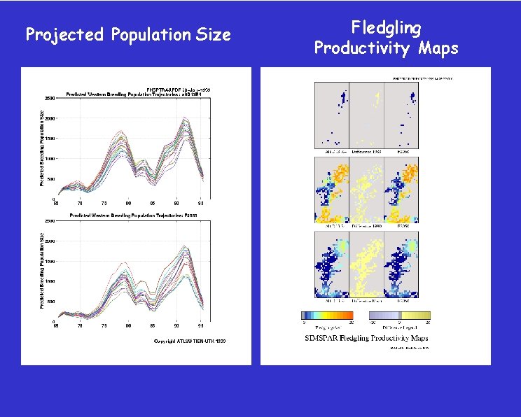 Projected Population Size Fledgling Productivity Maps 