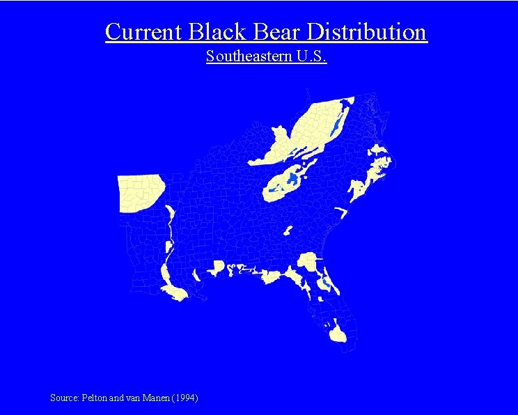 Current Black Bear Distribution Southeastern U. S. Source: Pelton and van Manen (1994) 