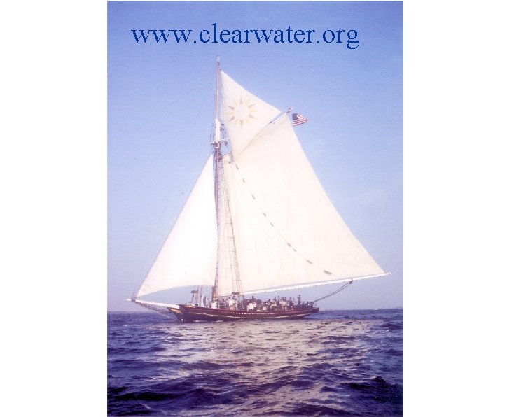 www. clearwater. org 