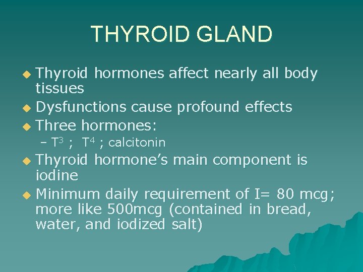 THYROID GLAND Thyroid hormones affect nearly all body tissues u Dysfunctions cause profound effects