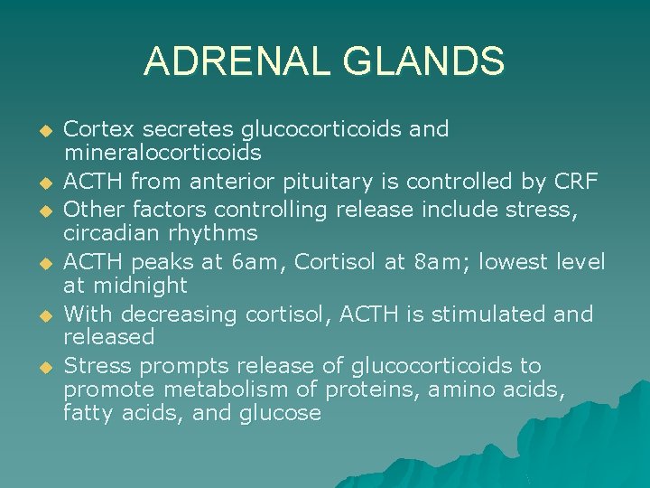 ADRENAL GLANDS u u u Cortex secretes glucocorticoids and mineralocorticoids ACTH from anterior pituitary