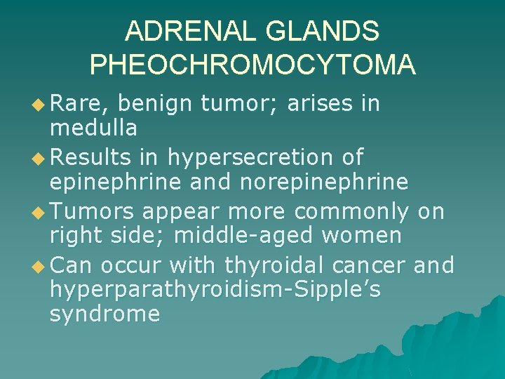 ADRENAL GLANDS PHEOCHROMOCYTOMA u Rare, benign tumor; arises in medulla u Results in hypersecretion