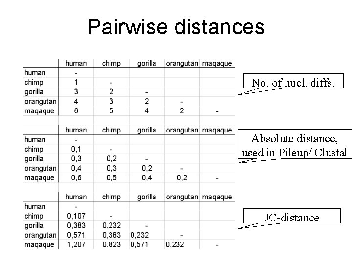 Pairwise distances No. of nucl. diffs. Absolute distance, used in Pileup/ Clustal JC-distance 