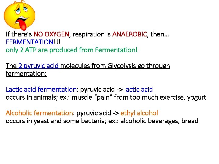 If there’s NO OXYGEN, respiration is ANAEROBIC, then… FERMENTATION!!! only 2 ATP are produced