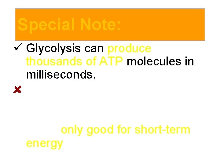 Special Note: ü Glycolysis can produce thousands of ATP molecules in milliseconds. But quickly