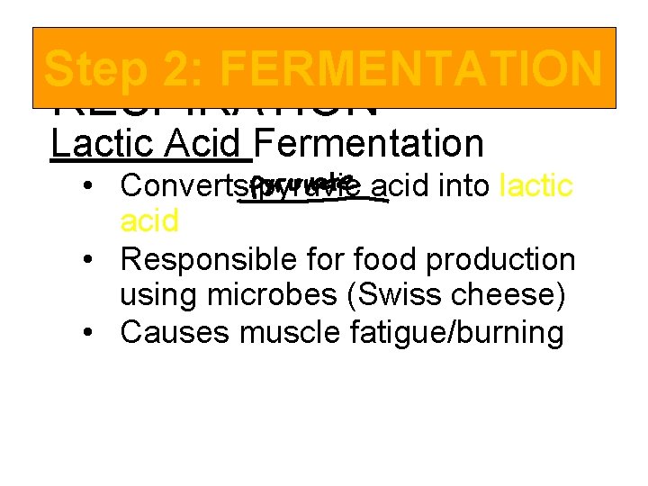 ANAEROBIC Step 2: FERMENTATION RESPIRATION Lactic Acid Fermentation • Converts pyruvic acid into lactic