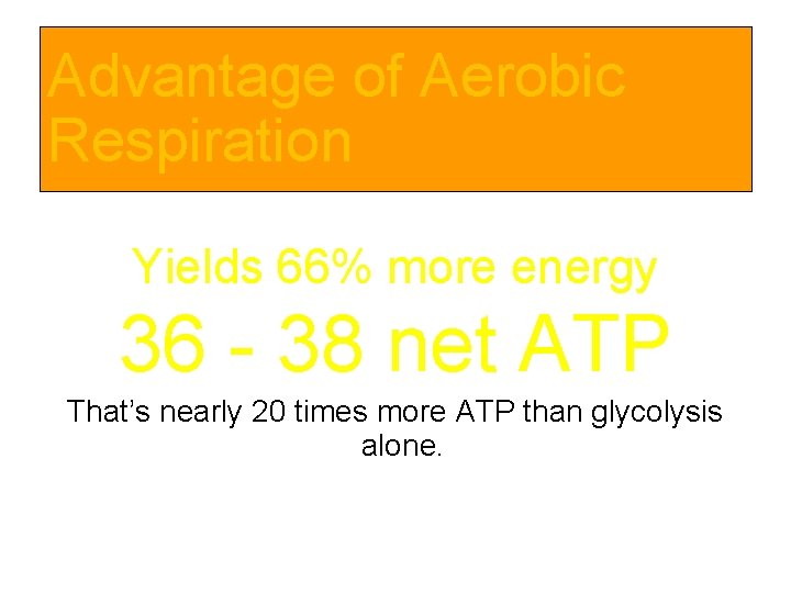 Advantage of Aerobic Respiration Yields 66% more energy 36 - 38 net ATP That’s