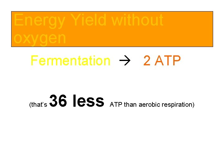 Energy Yield without oxygen Fermentation 2 ATP (that’s 36 less ATP than aerobic respiration)