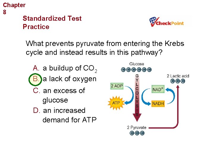 Chapter 8 Cellular Energy Standardized Test Practice What prevents pyruvate from entering the Krebs