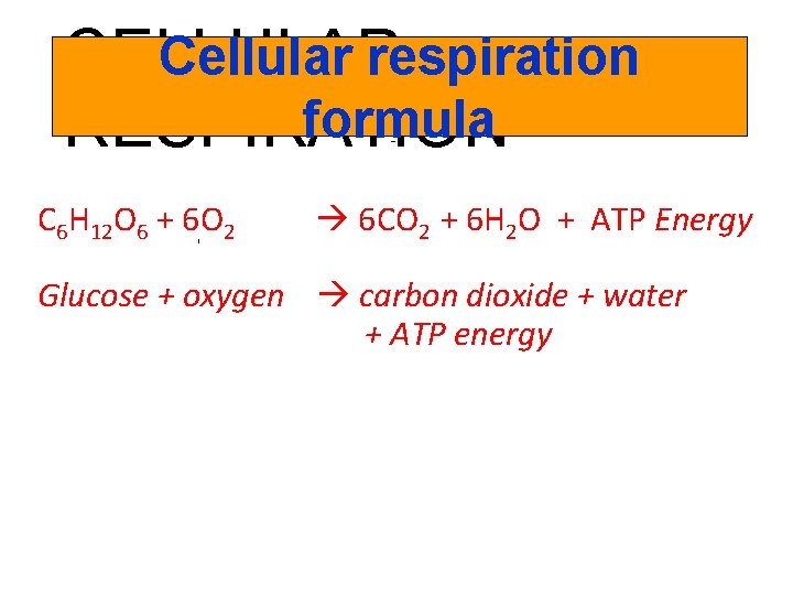 Cellular respiration CELLULAR formula RESPIRATION C 6 H 12 O 6 + 6 O