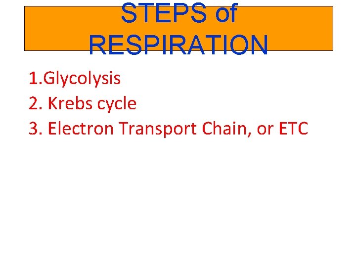 STEPS of RESPIRATION 1. Glycolysis 2. Krebs cycle 3. Electron Transport Chain, or ETC
