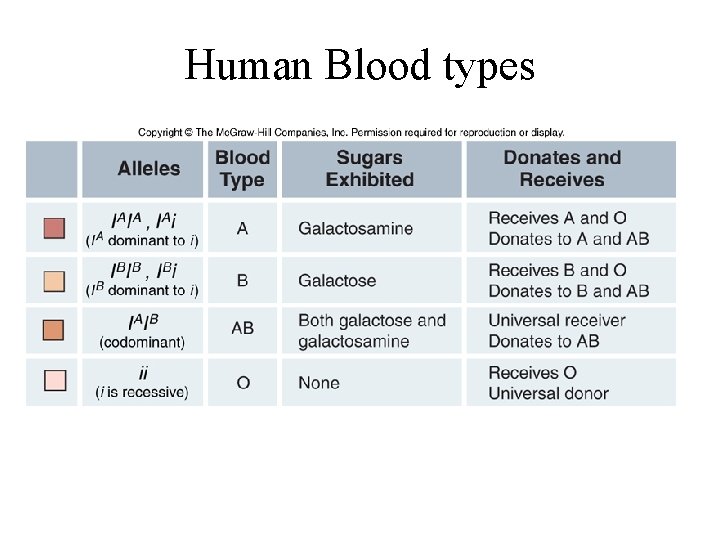 Human Blood types 