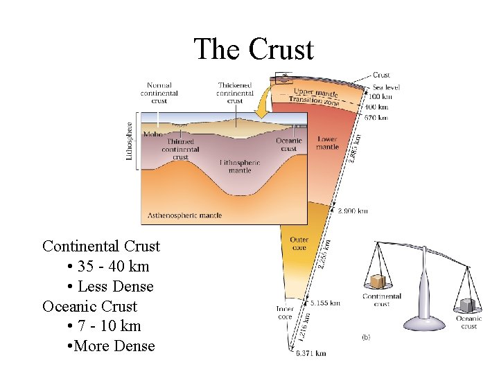 The Crust Continental Crust • 35 - 40 km • Less Dense Oceanic Crust