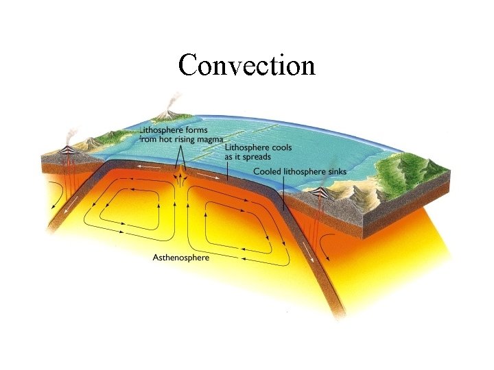 Convection Heating at the bottom: • Increases temperature • Decreases density Less dense hot