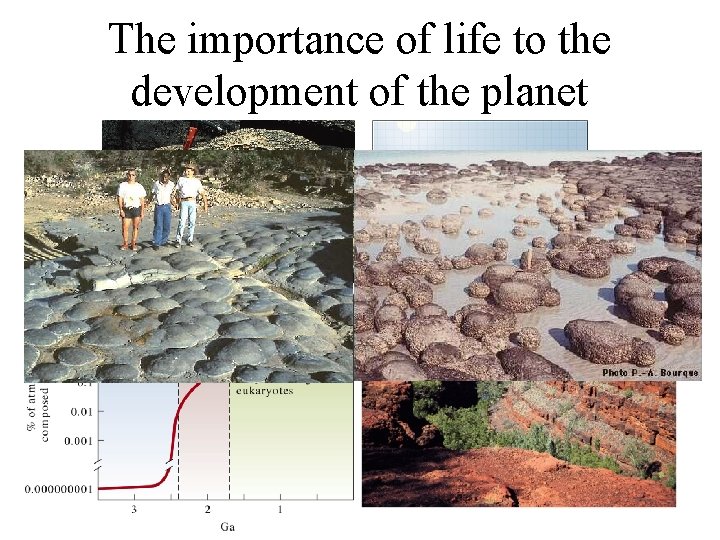 The importance of life to the development of the planet 