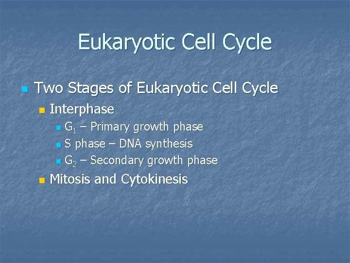 Eukaryotic Cell Cycle n Two Stages of Eukaryotic Cell Cycle n Interphase G 1