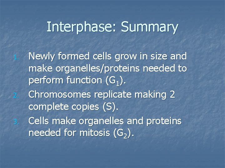 Interphase: Summary 1. 2. 3. Newly formed cells grow in size and make organelles/proteins