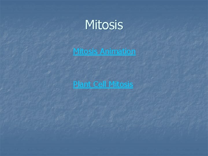 Mitosis Animation Plant Cell Mitosis 