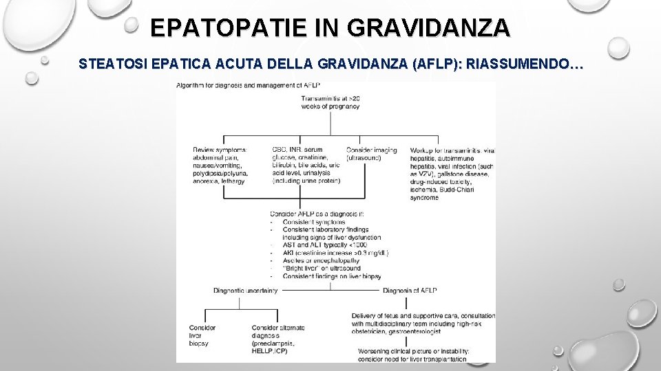 EPATOPATIE IN GRAVIDANZA STEATOSI EPATICA ACUTA DELLA GRAVIDANZA (AFLP): RIASSUMENDO… 