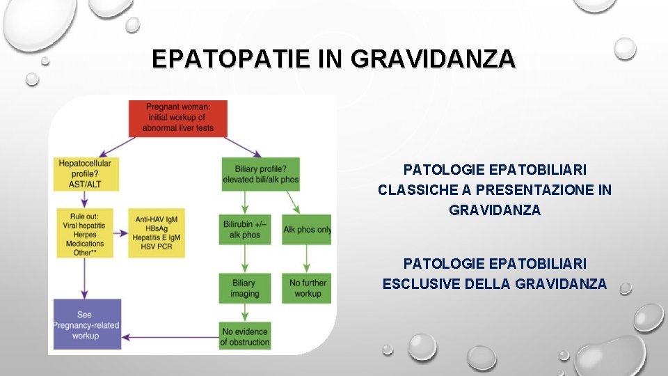 EPATOPATIE IN GRAVIDANZA PATOLOGIE EPATOBILIARI CLASSICHE A PRESENTAZIONE IN GRAVIDANZA PATOLOGIE EPATOBILIARI ESCLUSIVE DELLA