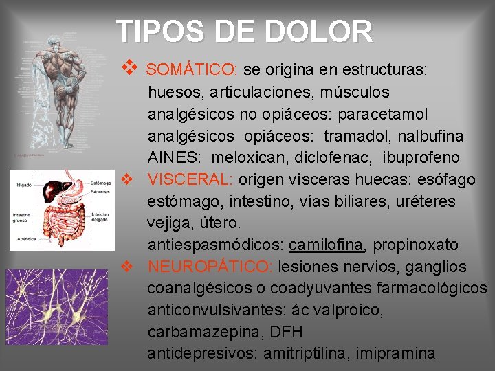 TIPOS DE DOLOR v SOMÁTICO: se origina en estructuras: huesos, articulaciones, músculos analgésicos no