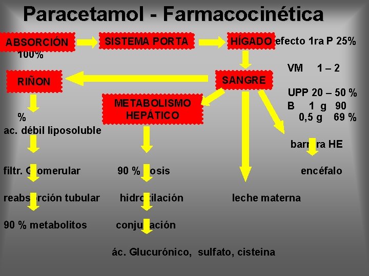 Paracetamol - Farmacocinética ABSORCIÓN SISTEMA PORTA HÍGADO efecto 1 ra P 25% 100% VM