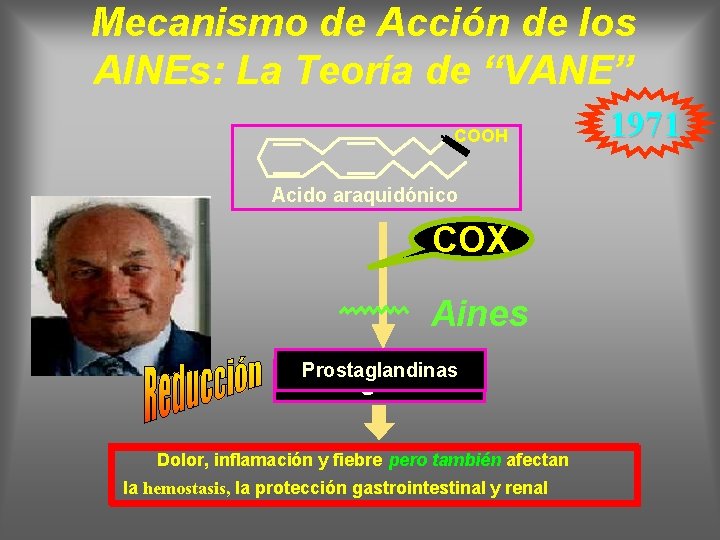 Mecanismo de Acción de los AINEs: La Teoría de “VANE” COOH Acido araquidónico COX