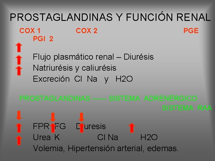 PROSTAGLANDINAS Y FUNCIÓN RENAL COX 1 PGI 2 COX 2 PGE Flujo plasmático renal