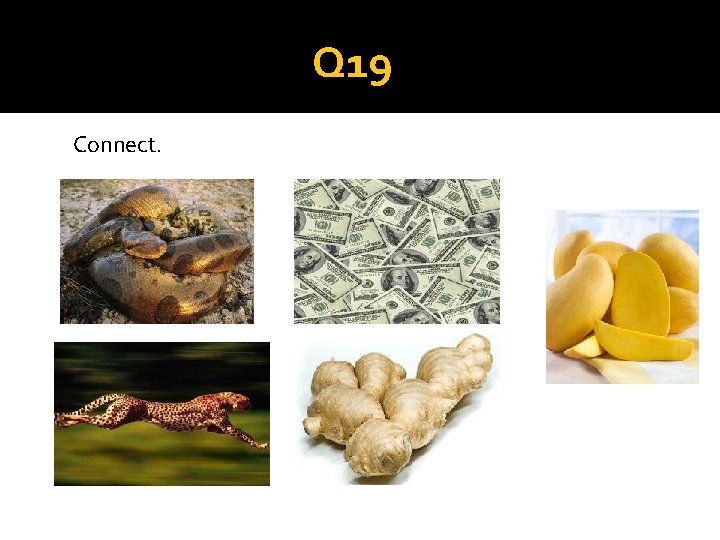 Q 19 Connect. 