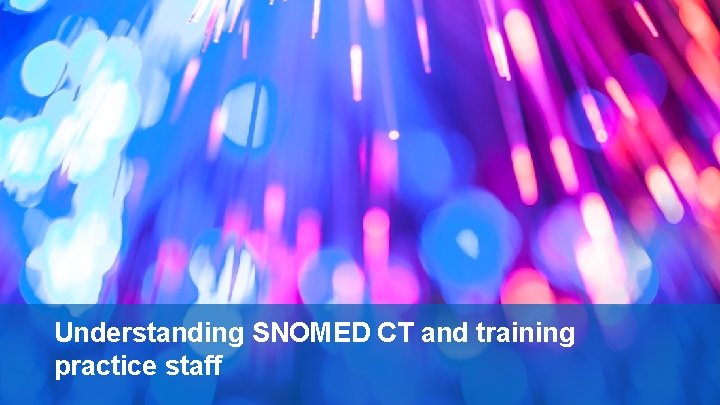 Understanding SNOMED CT and training practice staff 
