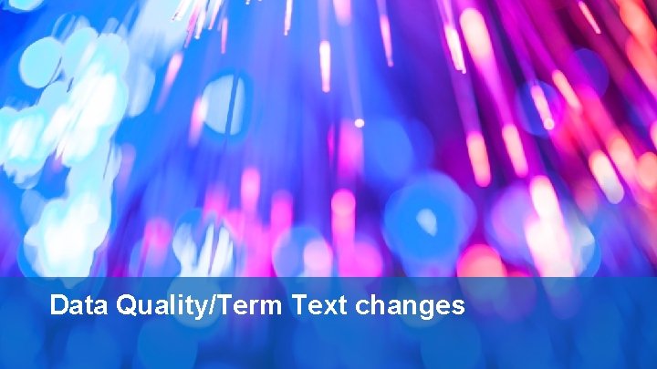Data Quality/Term Text changes 