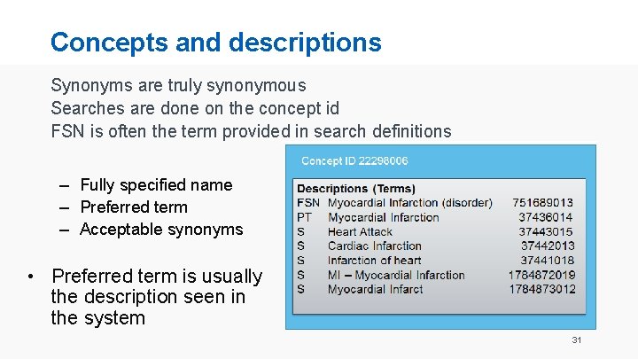 Concepts and descriptions Synonyms are truly synonymous Searches are done on the concept id