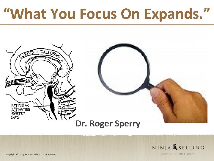 “What You Focus On Expands. ” Dr. Roger Sperry Copyright © Larry Kendall, Ninja