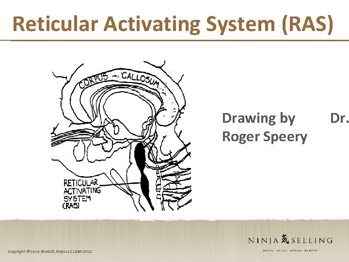 Reticular Activating System (RAS) Drawing by Roger Speery Copyright © Larry Kendall, Ninja LLC