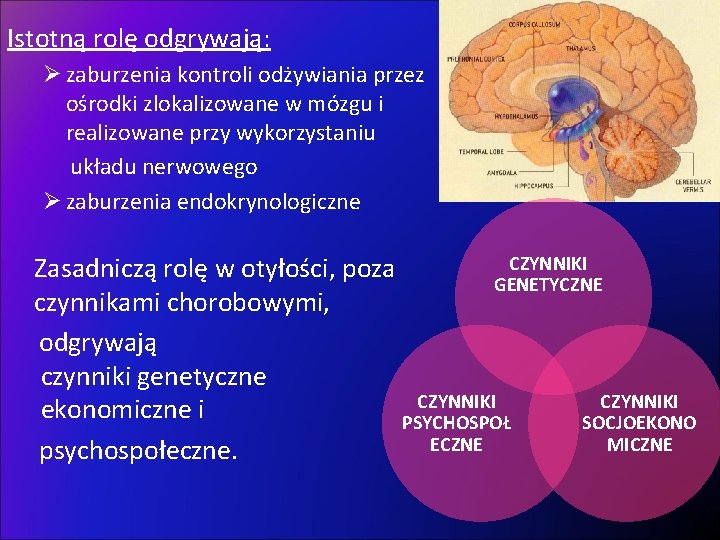 Istotną rolę odgrywają: Ø zaburzenia kontroli odżywiania przez ośrodki zlokalizowane w mózgu i realizowane