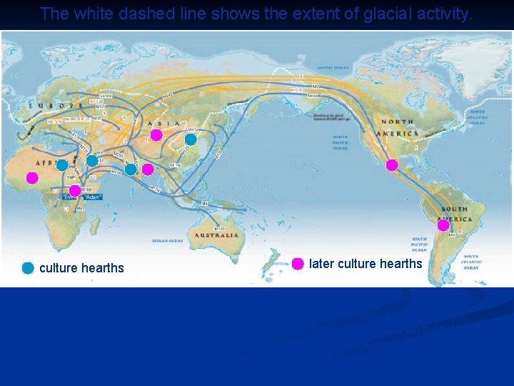 The white dashed line shows the extent of glacial activity. culture hearths later culture