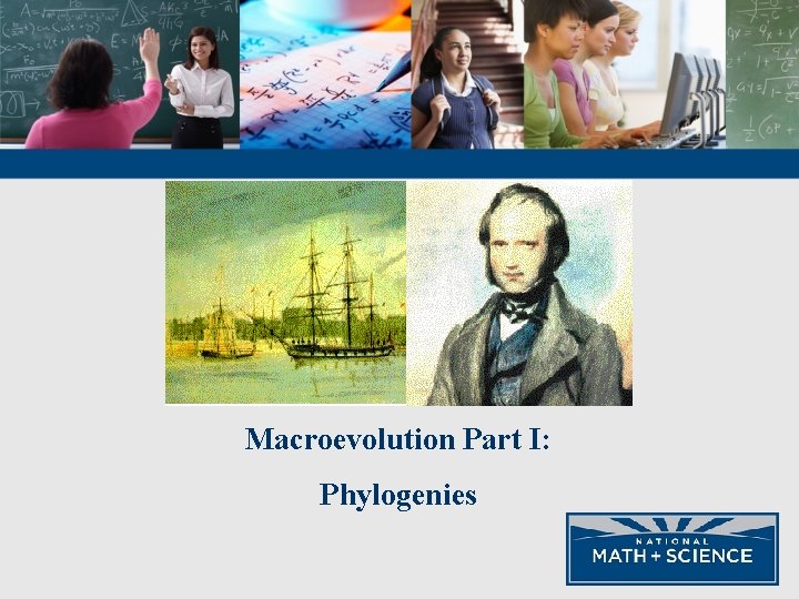 Macroevolution Part I: Phylogenies 