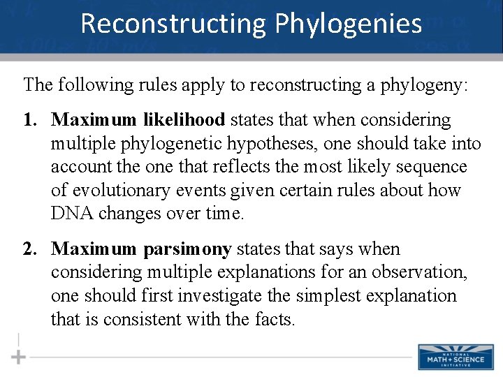 Reconstructing Phylogenies The following rules apply to reconstructing a phylogeny: 1. Maximum likelihood states