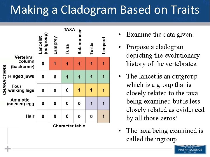 Making a Cladogram Based on Traits • Examine the data given. • Propose a