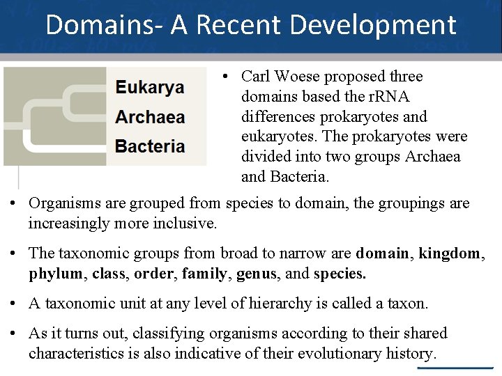 Domains- A Recent Development • Carl Woese proposed three domains based the r. RNA