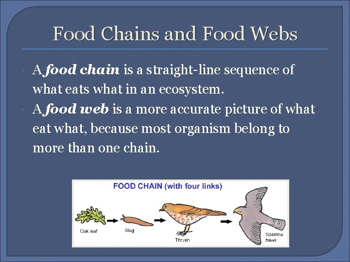 Food Chains and Food Webs A food chain is a straight-line sequence of what