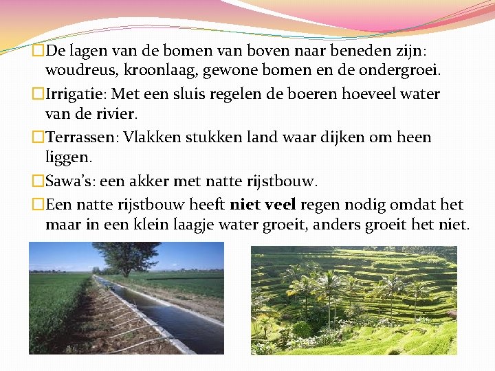 �De lagen van de bomen van boven naar beneden zijn: woudreus, kroonlaag, gewone bomen