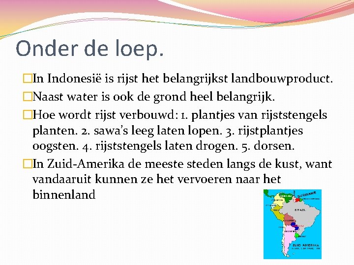 Onder de loep. �In Indonesië is rijst het belangrijkst landbouwproduct. �Naast water is ook