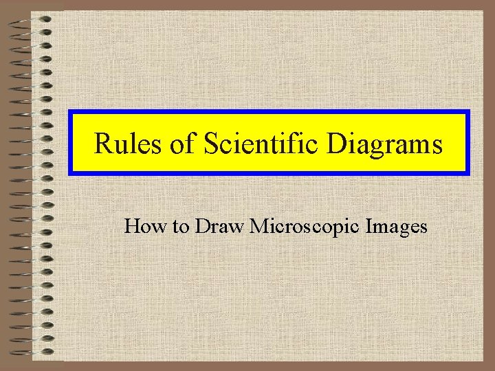 Rules of Scientific Diagrams How to Draw Microscopic Images 