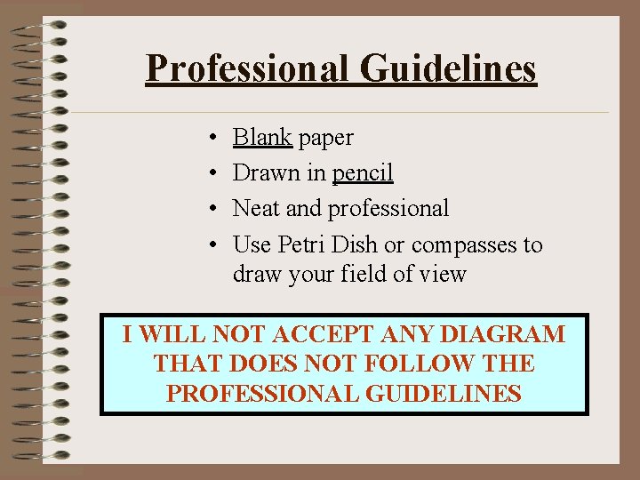 Professional Guidelines • • Blank paper Drawn in pencil Neat and professional Use Petri