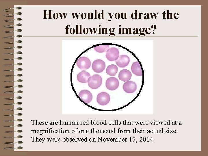 How would you draw the following image? These are human red blood cells that