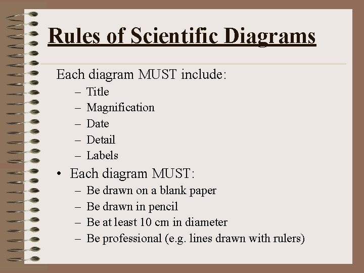 Rules of Scientific Diagrams Each diagram MUST include: – – – Title Magnification Date