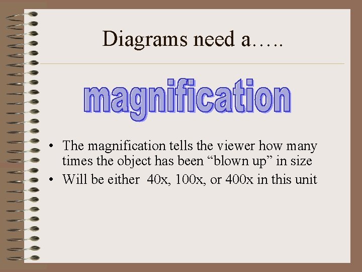 Diagrams need a…. . • The magnification tells the viewer how many times the
