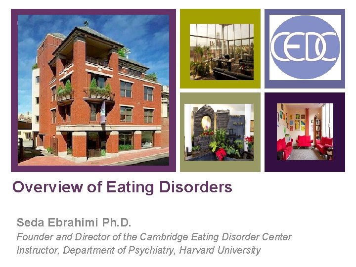+ Overview of Eating Disorders Seda Ebrahimi Ph. D. Founder and Director of the